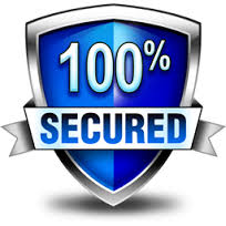 100% secure website